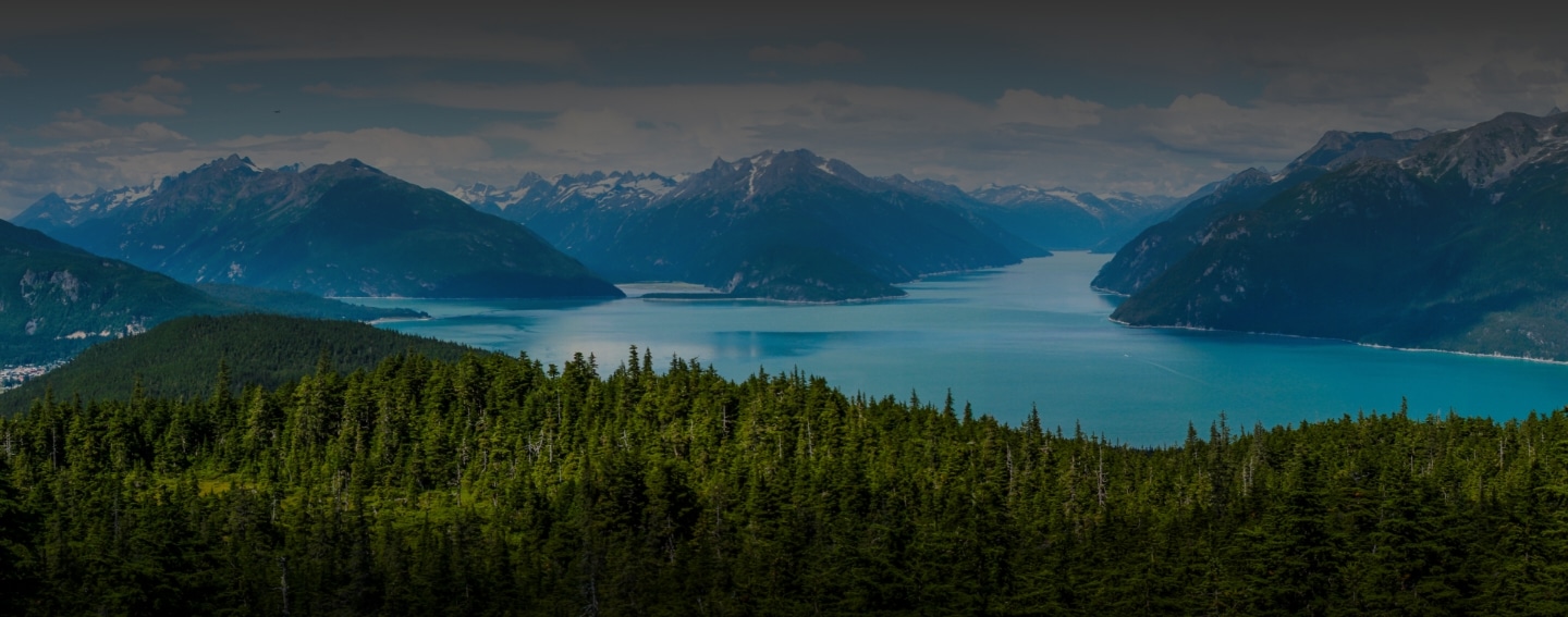 Beautiful Alaskan view